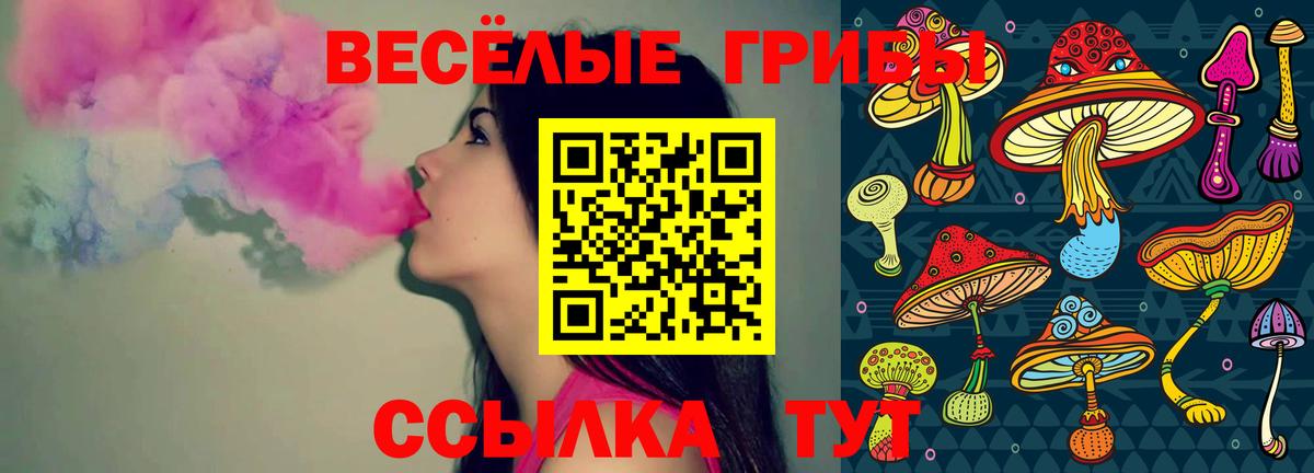 Галлюциногенные грибы прущие грибы  Вход с VPN  наркошоп  Магадан  Псилоцибиновые грибы GOLDEN TEACHER 